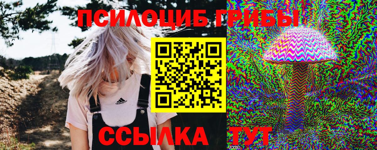 Псилоцибиновые грибы прущие грибы Гатчина